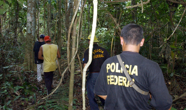 Resultado de imagem para PF deflagra operaÃ§Ã£o em 8 estados e DF contra desmatamento ilegal na AmazÃ´nia