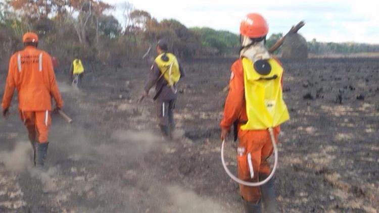 Bombeiros fazem rescaldo para evitar novos focos de incêndio - Foto: Divulgação | Corpo de Bombeiros