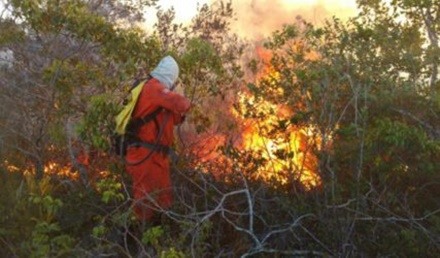 Resultado de imagem para Inema realiza ação de combate aos focos de incêndio em Senhor do Bonfim