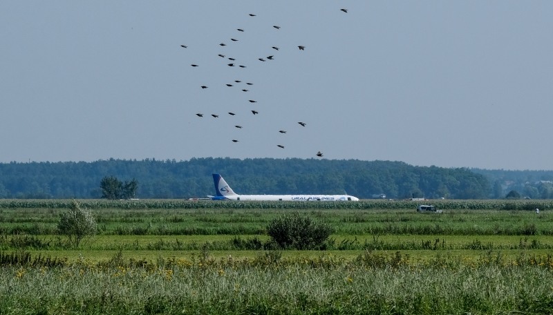 Resultado de imagem para Pouso de emergÃªncia deixa ao menos 20 feridos perto de Moscou