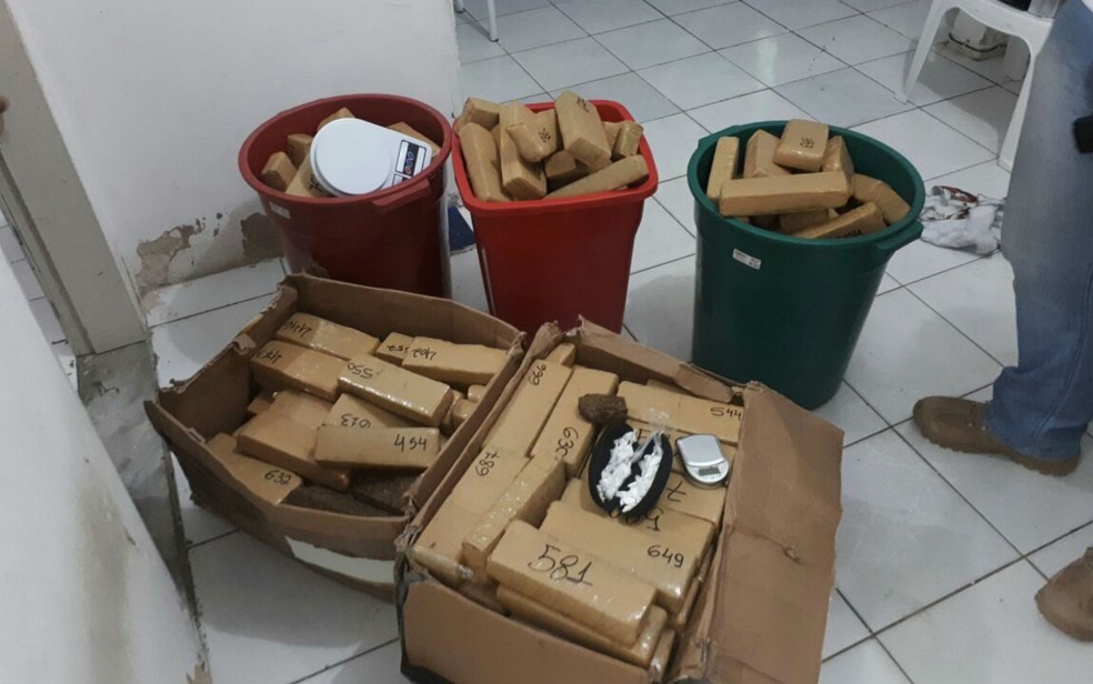 Droga foi encontrada embalada e numerada (Foto: Divulgação/SSP-BA)