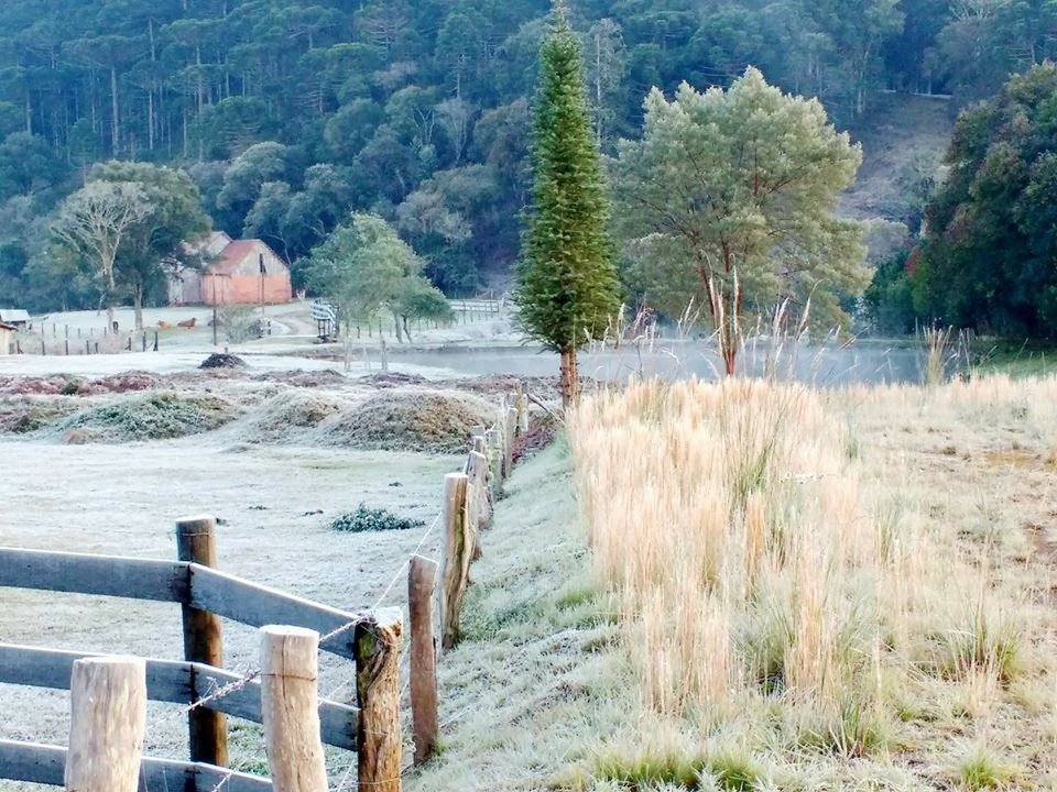 Resultado de imagem para Mais de 20 cidades em SC amanhecem com temperaturas abaixo de zero