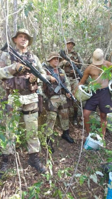 Um homem foi preso durante a apreensão da maconha - Foto: Divulgação | SSP