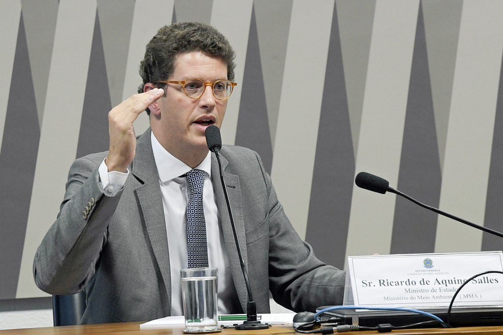 O ministro do Meio Ambiente, Ricardo Salles, durante audiÃªncia no Senado em marÃ§o â?? Foto: Roque de SÃ¡/AgÃªncia Senado