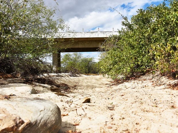 Na região Oeste potiguar, a ‘seca verde’ apresenta contrastes. De um lado, a robusta e exuberante vegetação da caatinga; do outro, a terra árida e cinzenta em meio ao leito seco dos rios  (Foto: Anderson Barbosa e Fred Carvalho/G1)