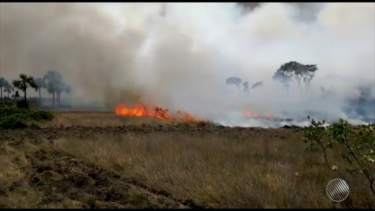 Resultado de imagem para IncÃªndio atinge Ã¡rea de preservaÃ§Ã£o de povoado no oeste da Bahia