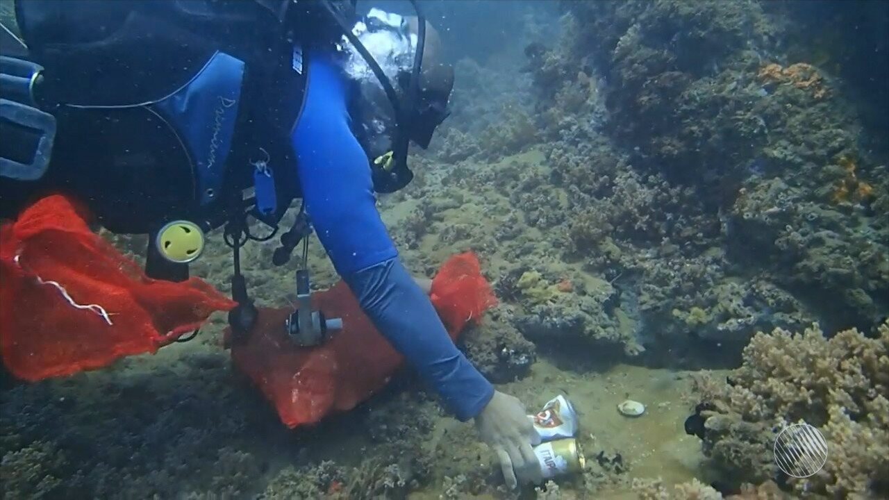 Resultado de imagem para Mergulhadores retiram 48 kg de lixo do fundo do mar da Barra após carnaval