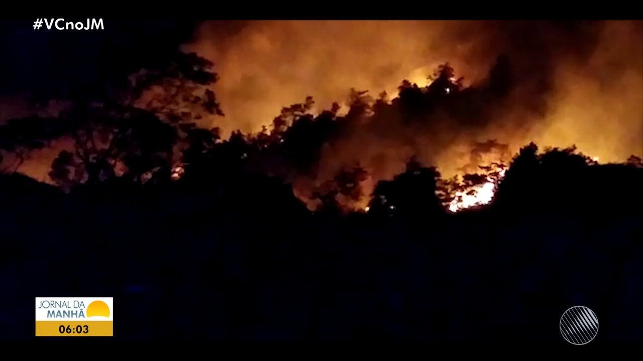 Resultado de imagem para IncÃªndio atinge Ã¡rea de mata prÃ³xima a casas entre Amargosa e BrejÃµes