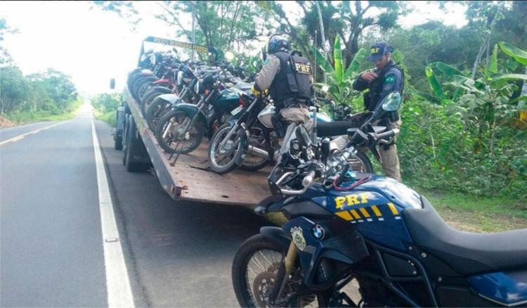 As apreensões ocorreram entre as cidades baianas de birapitanga, Ubaitaba, Gandu e Wenceslau Guimarães - Foto: PRF | Divulgação