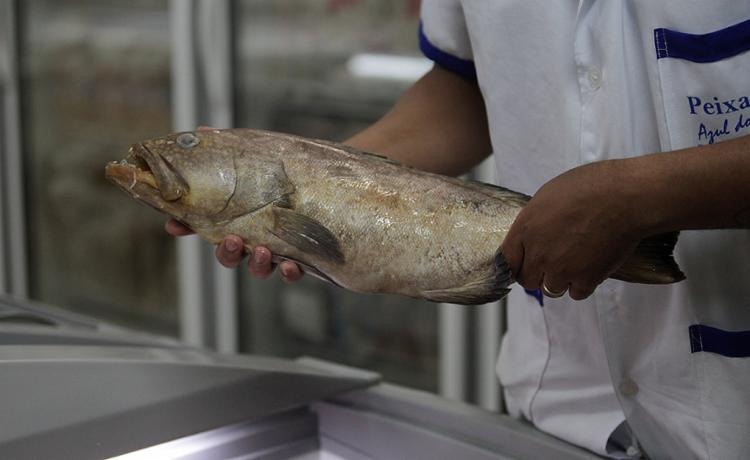 Prefeituras criticam divulgação de informações não comprovadas que atribuem doença a consumo de peixes - Foto: Adilton Venegeroles l Ag. A TARDE