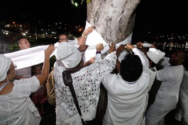 Depois de sacralizados, panos brancos foram amarrados aos troncos das árvores para pedir respeito às crenças - Foto: Mila Cordeiro l Ag. A TARDE