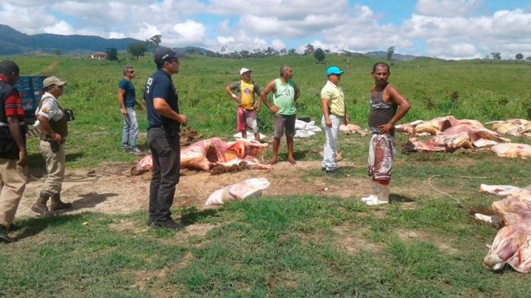 Seis gados foram encontrados no chão de uma fazenda - Foto: Divulgação | SSP