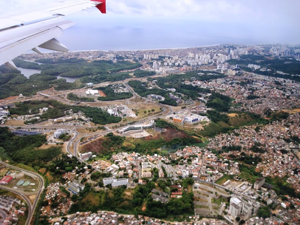 Resultado de imagem para Sussuarana salvador