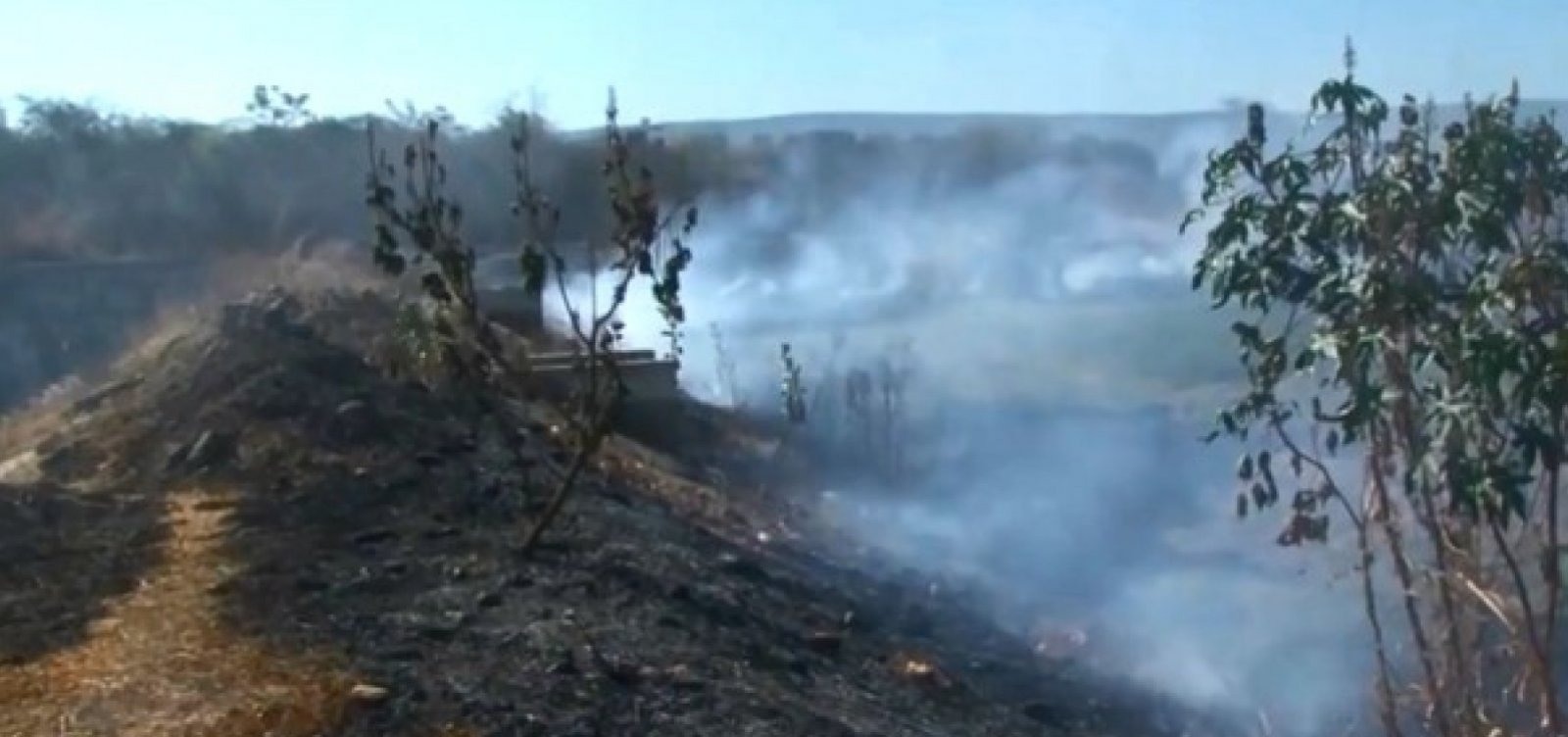 Resultado de imagem para Corpo de bombeiros de bela incêndio florestal em Barreiras