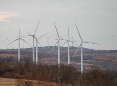 Bahia lidera na comercialização de projetos de energia solar e inaugura parque