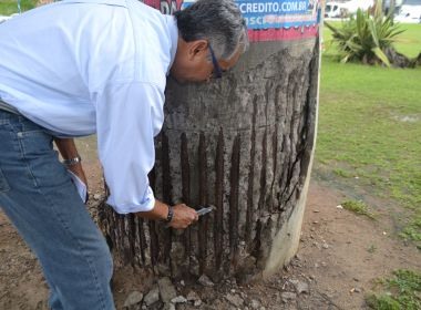 Crea avalia problemas em viadutos de Salvador ocasionados pela falta de manutenÃ§Ã£o