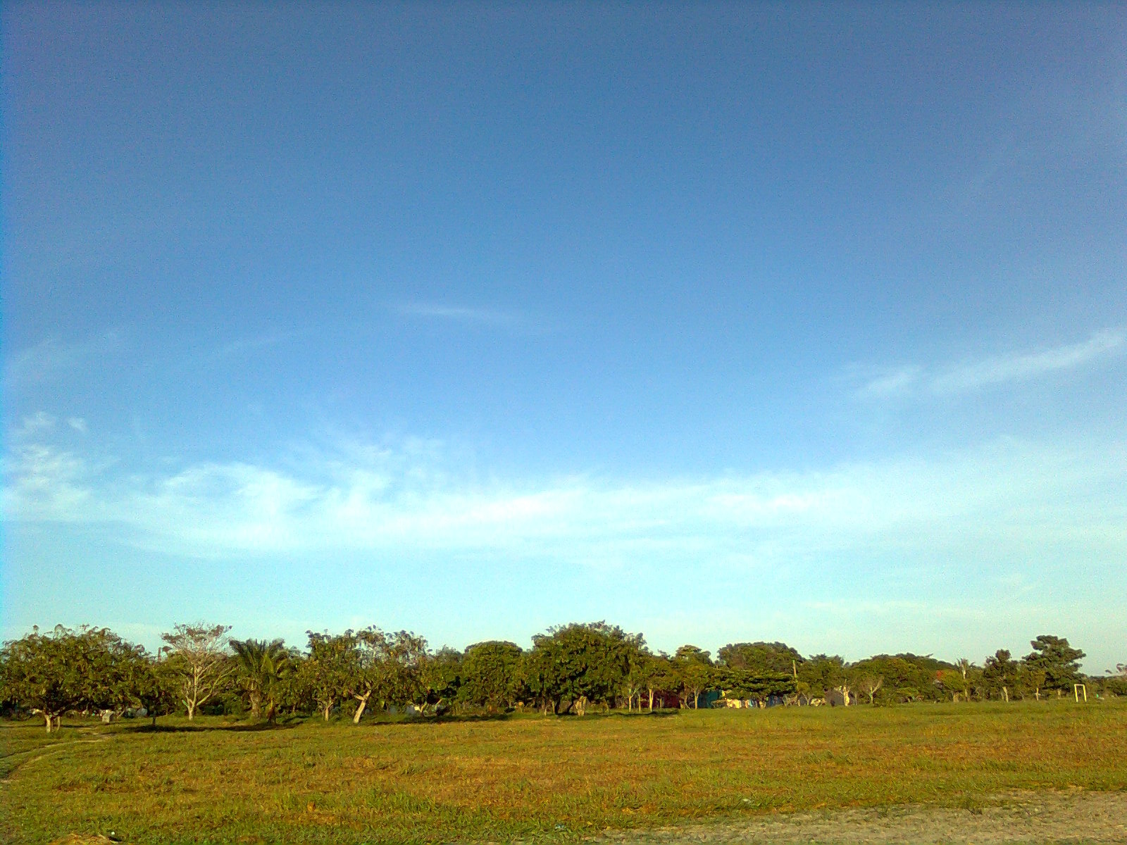 Resultado de imagem para Parque Central do distrito de Arraial D'Ajuda