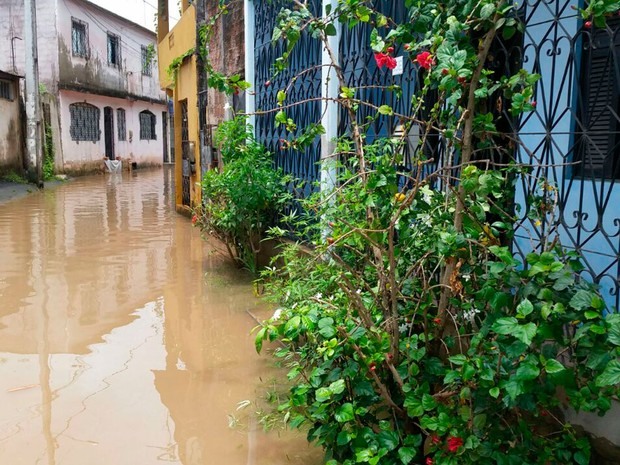 Moradores reclamam da situação que ocorre há mais de 20 anos (Foto: Jony Torres/TV Bahia)