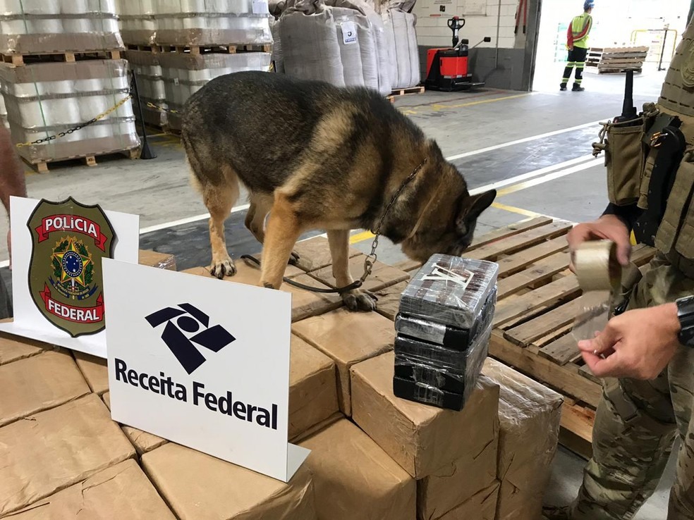 ApreensÃ£o de cocaÃ­na em contÃªineres em porto de SC. â?? Foto: Fabiano Correia/NSC TV