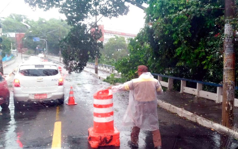 Parte da pista Ã© interditada por causa de galhos na pista (Foto: Juliana Almirante/G1)