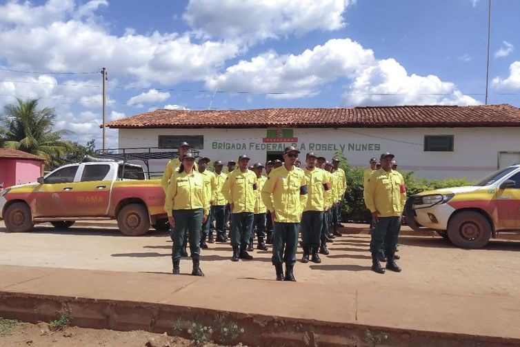 Brigada Federal de prevenÃ§Ã£o e combate a incÃªndio florestal