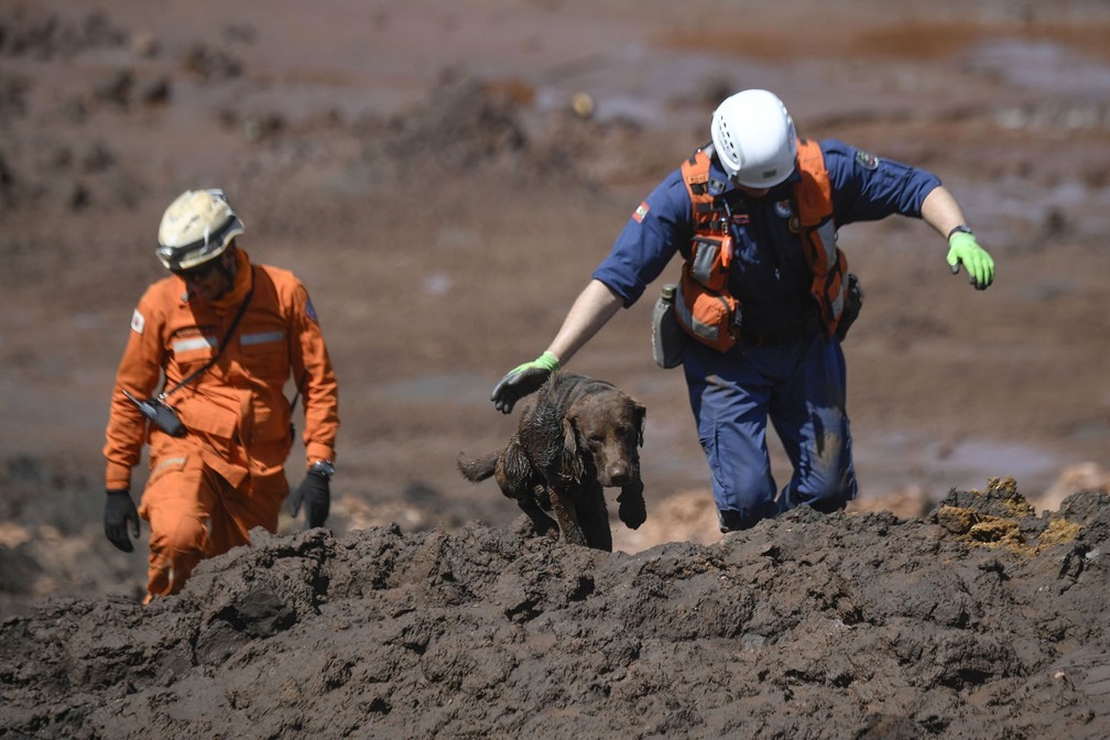 CÃ£o farejador Ã© usado por bombeiros na busca por vÃ­timas da lama da barragem estourada em Brumadinho â?? Foto: Mauro Pimentel/AFP