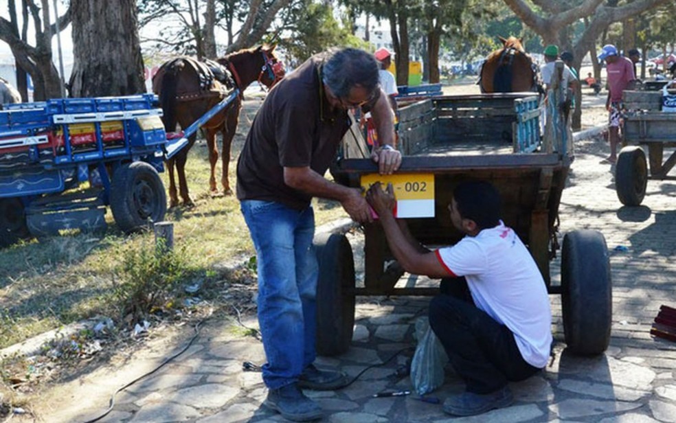 Carroças em Conquista serão emplacadas; animais terão que usar bolsa coletora de dejetos (Foto: Secom/PMVC)