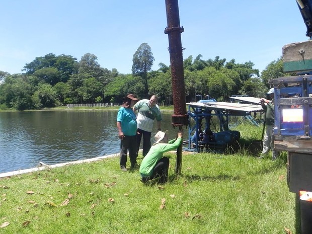 Cobra sucuri é retirada de tubulação de água em Cordeirópolis (Foto: Eliara Clemente/Prefeitura de Cordeirópolis)