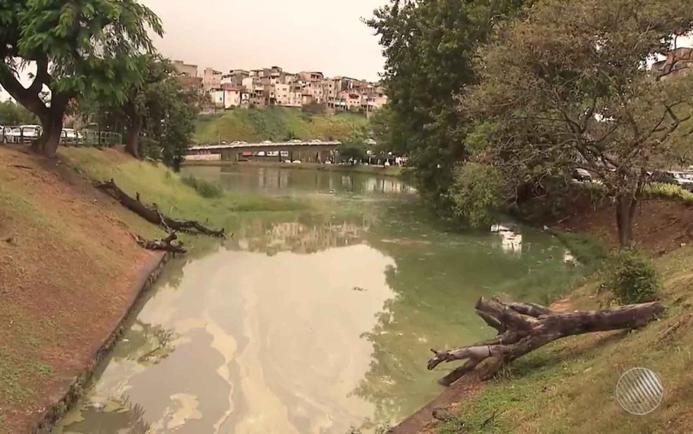 Dique do Tororó ficou com coloração verde e mau cheiro (Foto: Reprodução/ TV Bahia)