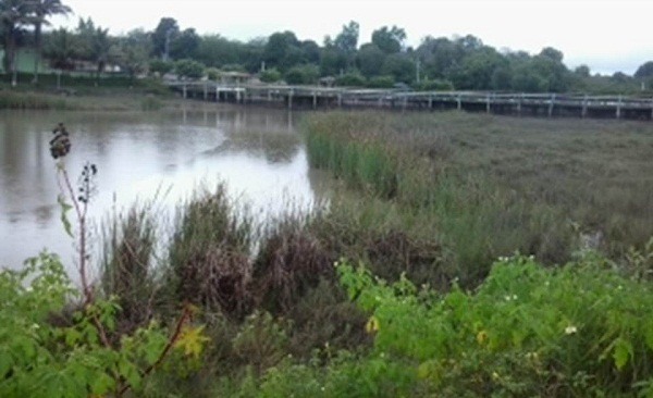 Resultado de imagem para lagoa, na cidade de Teixeira de Freitas