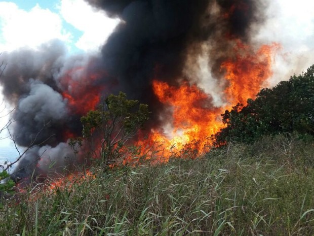 Vegetação está pegando fogo desde o último domingo (Foto: André Luis Pennycook/Acervo pessoal)