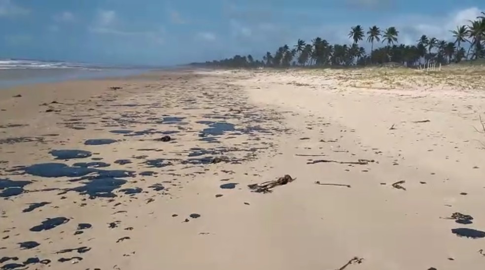 Resultado de imagem para fotos de mancha de oleo nas praias do nordeste