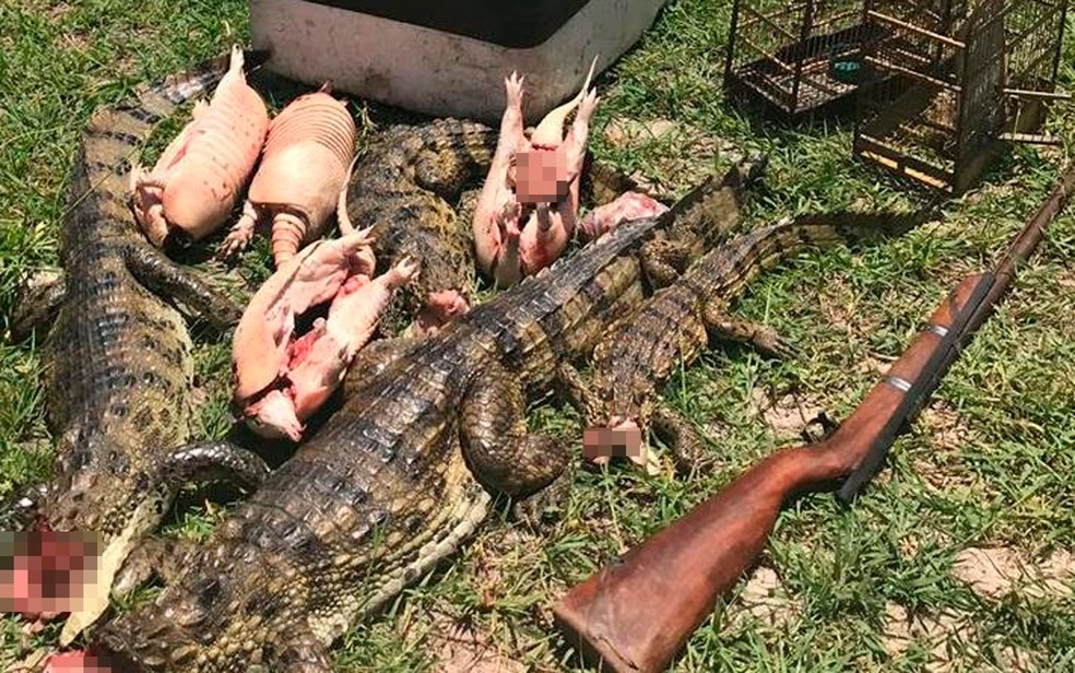 Homem foi preso com jacarés e tatus mortos na Bahia (Foto: Divulgação/Polícia Militar)