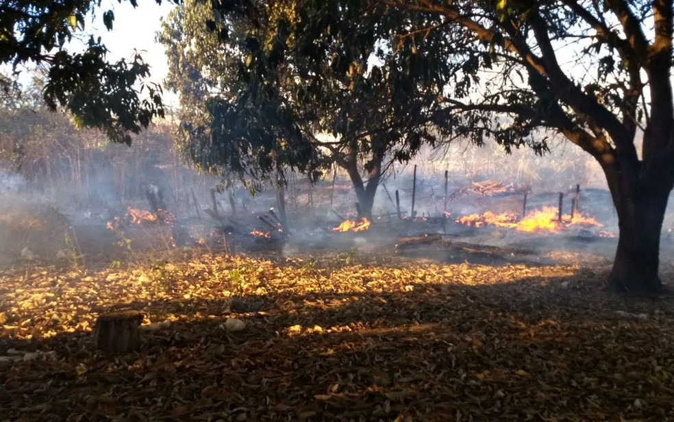 Incêndio provocou muita fumaça e dificultou a visibilidade na rodovia (Foto: Divulgação/Corpo de Bombeiros)