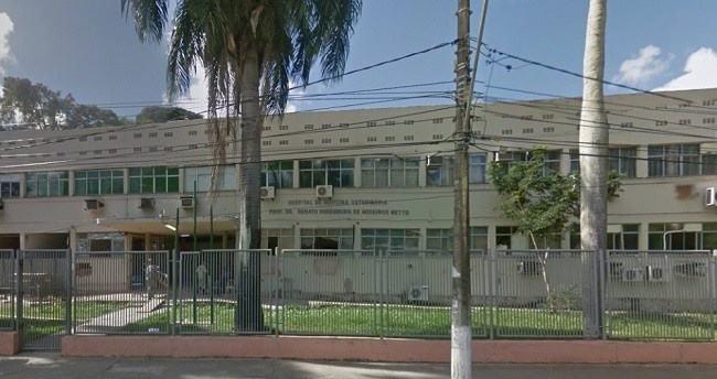 Hospital Veterinário da UFBA suspende funcionamento por tempo ...