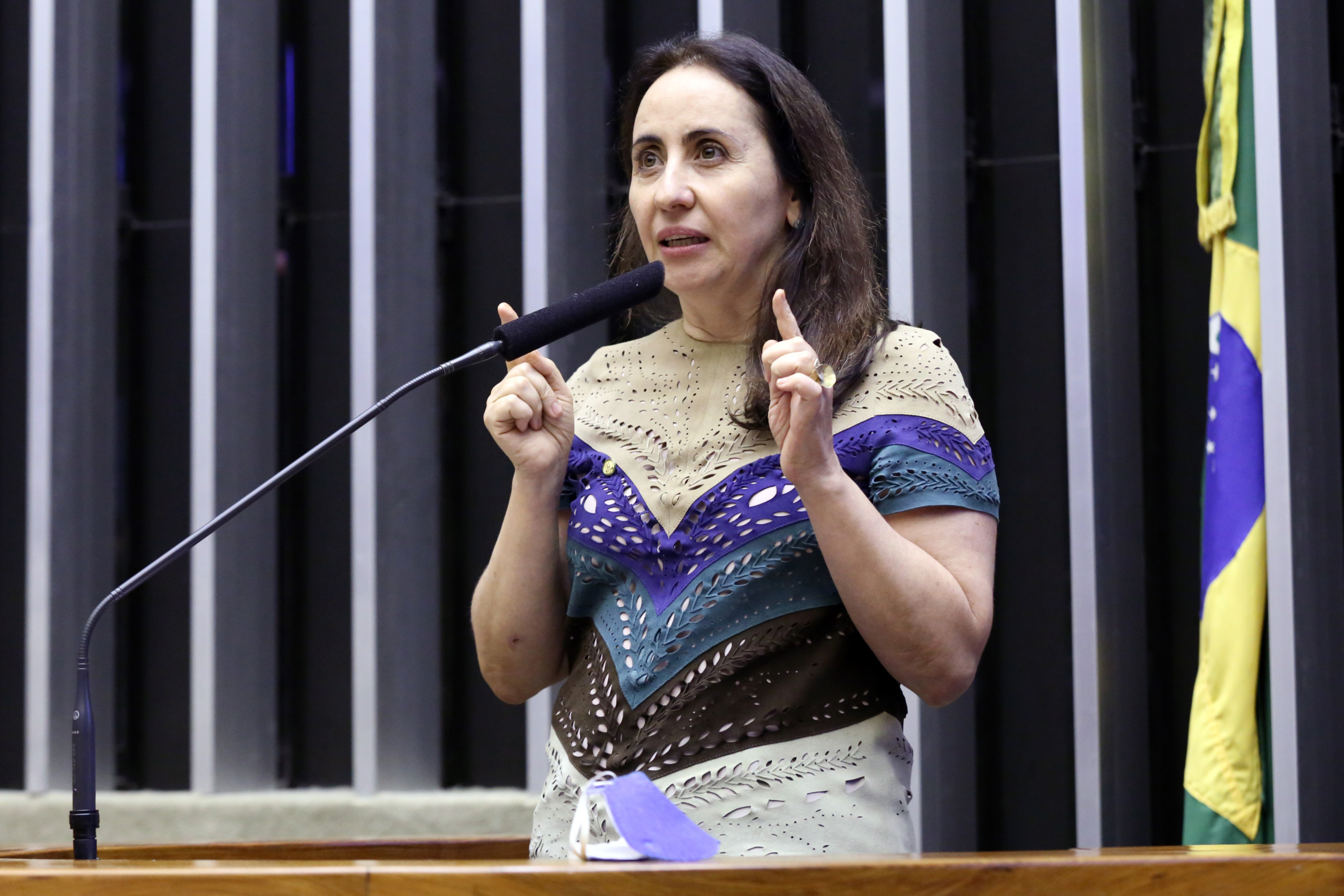 Ordem do dia para votação de propostas. Dep. Adriana Ventura(NOVO - SP)