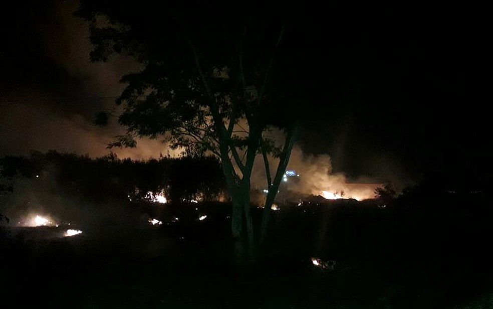 Incêndio atingiu terreno baldio em Barreiras (Foto: Bombeiros Militares/Divulgação)