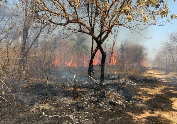 Foto: DivulgaÃ§Ã£o/Corpo de Bombeiros de Minas Gerais