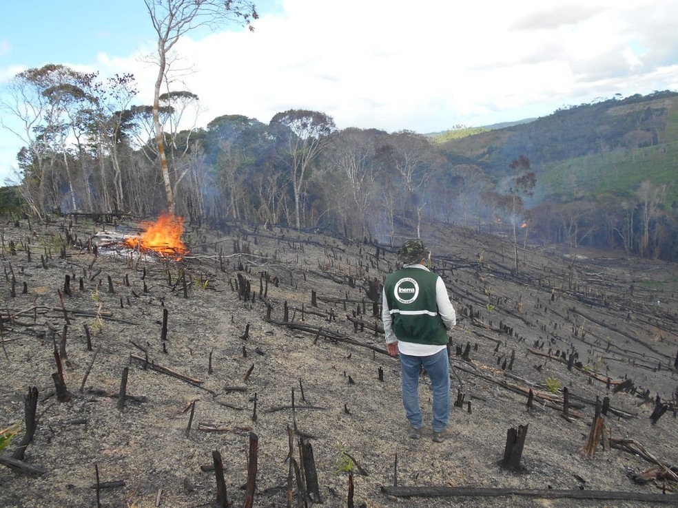 OperaÃ§Ã£o do Instituto do Meio Ambiente e Recursos HÃ­dricos (Inema) ocorreu entre dos dias 22 de abril e 16 de maio.  â?? Foto: Inema / DivulgaÃ§Ã£o