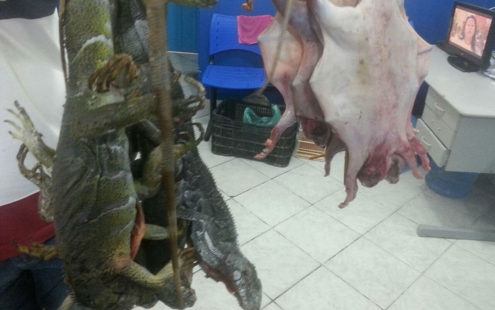 Carne de animais seria vendida em feira livre na cidade de Itatim (Foto: Divulgação/Polícia Civil)