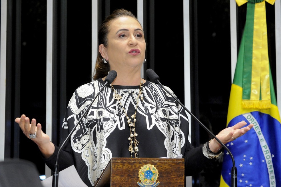 Em discurso na tribuna do Senado, Kátia Abreu atacou a cúpula do PMDB (Foto: Waldemir Barreto, Agência Senado)