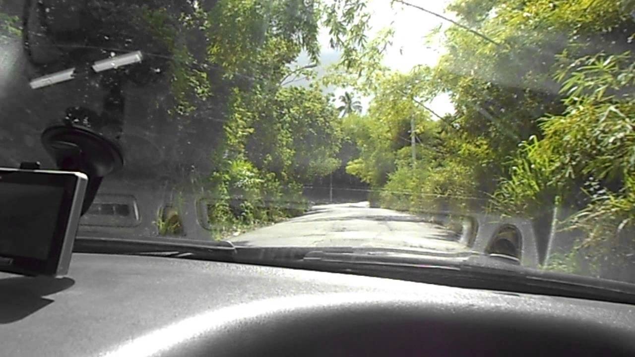 Resultado de imagem para fotos de reserva ambiental da estrada velha do aeroporto em Salvador