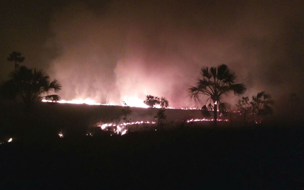 Fogo se alastra por vegetação em Luís Eduardo Magalhães, na Bahia (Foto: Divulgação / Corpo de Bombeiros)