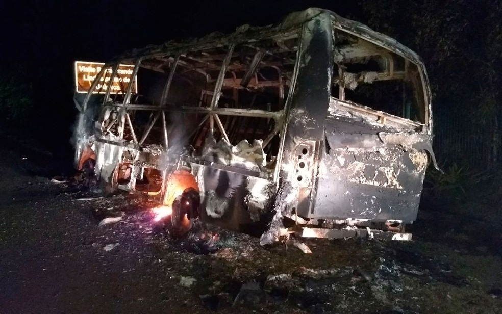 Micro-ônibus queimado estava em acostamento de rodovia (Foto: Divulgação/Corpo de Bombeiros de Ilhéus)