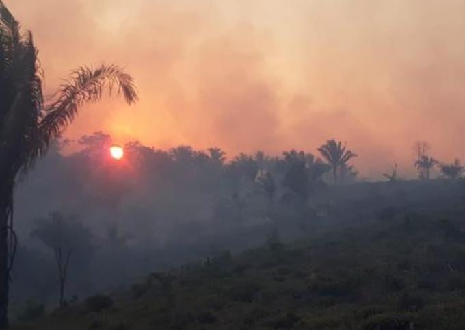 Resultado de imagem para IncÃªndios jÃ¡ destruÃ­ram ao menos 61 mil hectares no Paraguai