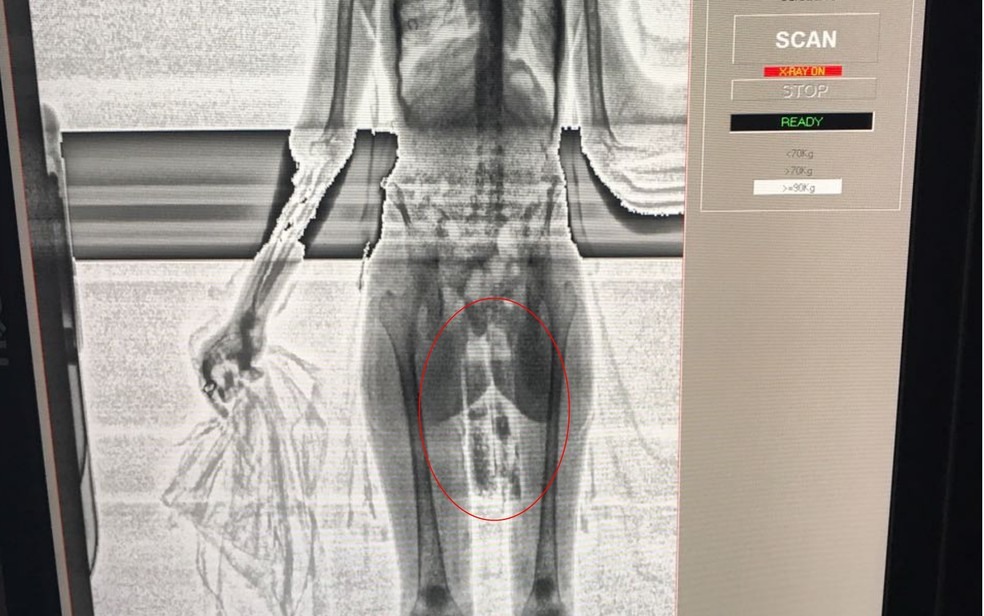 Jovem de 22 anos tenta entrar na Penitenciára Odenir Guimarães com driga entre as pernas (Foto: Reprodução)