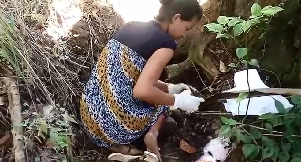 MÃ£e suspeita de matar e esquartejar bebÃª aparece em vÃ­deo desenterrado restos mortais (Foto: ReproduÃ§Ã£o)