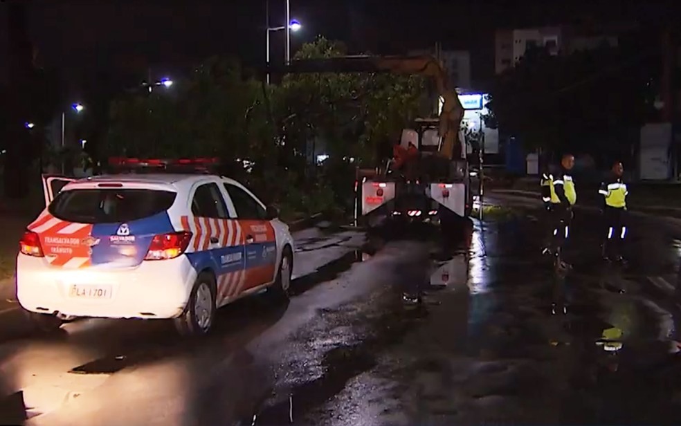 Parte de Ã¡rvore cai na Avenida Juracy MagalhÃ£es JÃºnior â?? Foto: ReproduÃ§Ã£o/TV Bahia