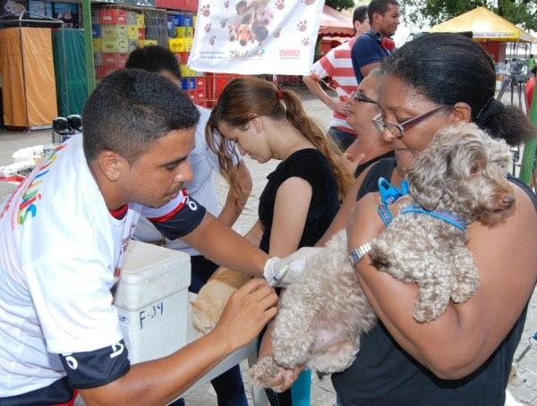 Campanha de vacinação deve imunizar 160 mil cães e gatos contra a Raiva (Foto: Divulgação/Secom)