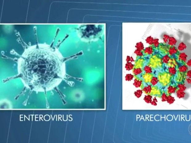 Médicos investigam se vírus pode causar doença (Foto: Reprodução/ TV Bahia)